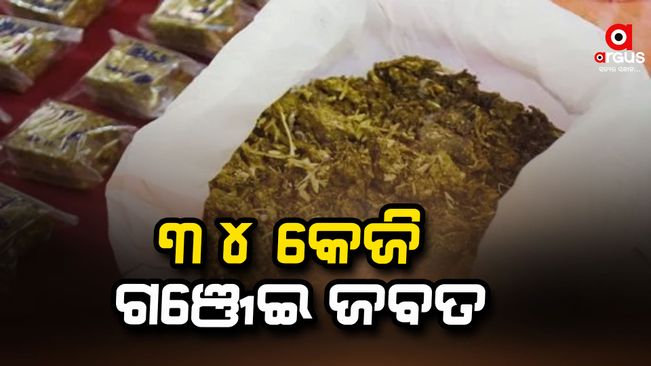 Excise department seized 34 kg of cannabis