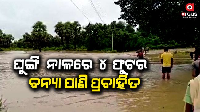 Farmland is submerged in torrential rains