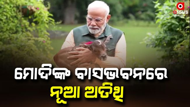 New guest at Prime Minister Modi's residence, Modi posted a video