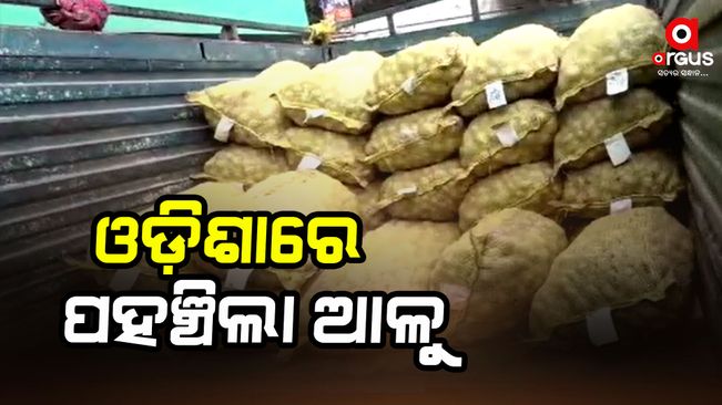 Potatoes from Uttar Pradesh reach Odisha