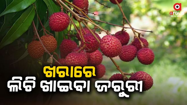 litchi helps in weight loss