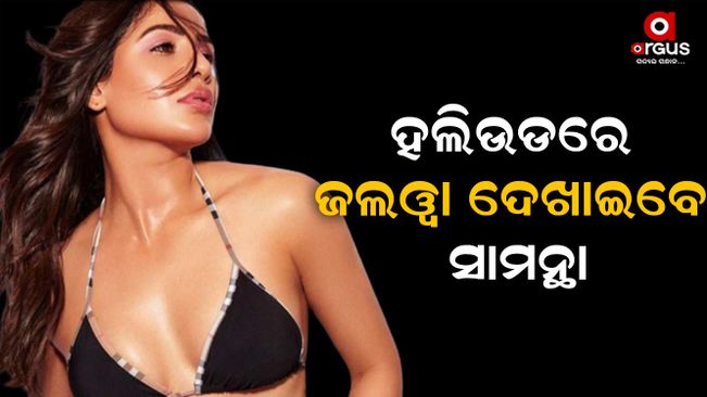 south-actress-samantha-is-now-entry-of-hollywood