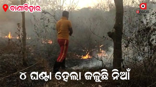 fire-in-banibihar-campus