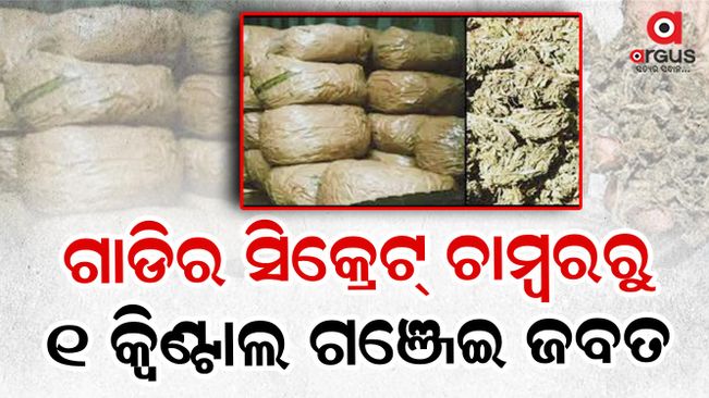 105-quintal-cannabis-seized-from-sambalpur-3-arrested