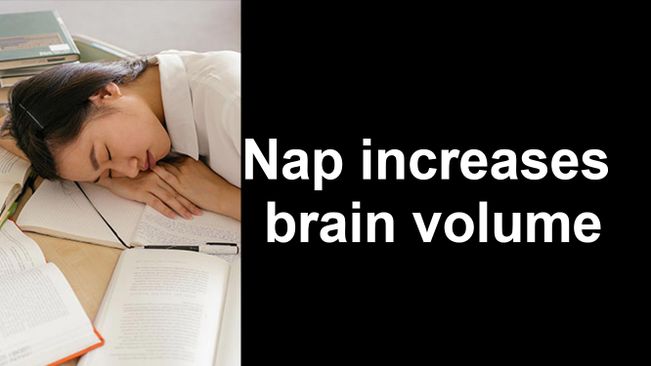 Study reveals regular naps linked to increased brain volume