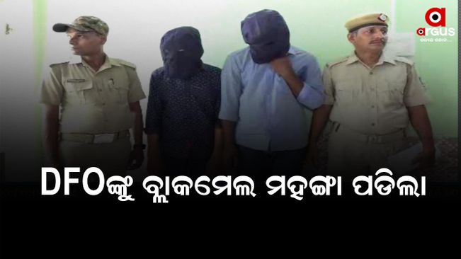 2 person arrested in nayagarh due to sending obscence video to dfo mam