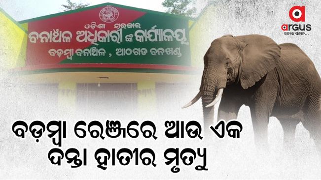 Another elephant death: Forest department investigation continues