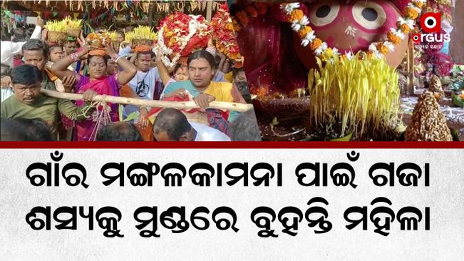 Borigumma celebrated Adivasi’s Historic Sand festival