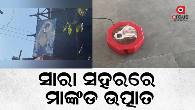 Sensor machine installation in Uttar Pradesh to drive away monkey in U.P