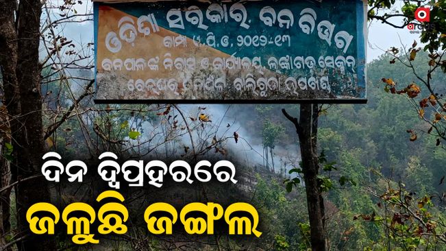 fire-mishap-in-kandhamal-baliguda-forest