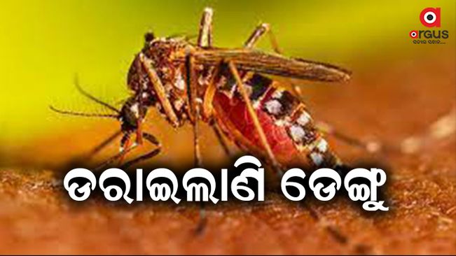 Keep house and surroundings clean to prevent Aedes mosquito breeding - Niranjan Mishra