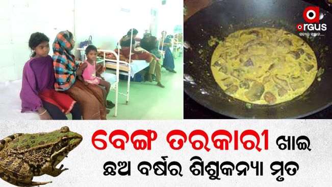 6-yr-old girl dies after eating frog curry in Keonjhar