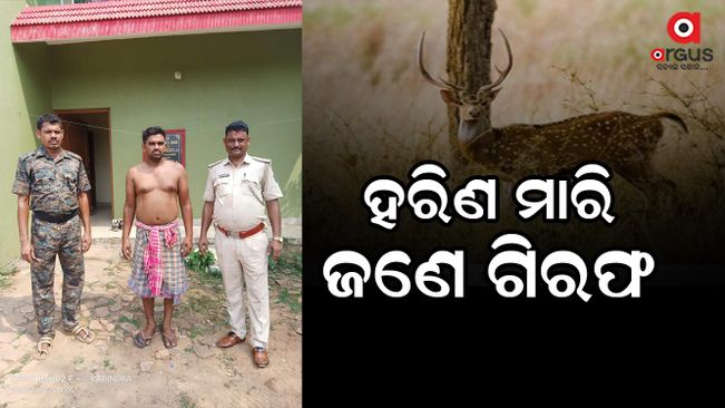 Arrested for killing a deer in puri kakatpur