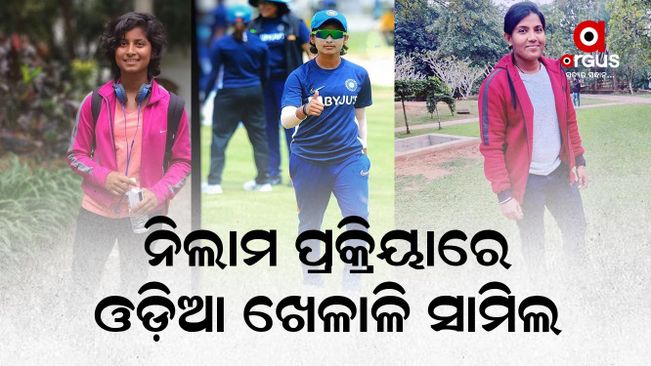 409 cricketers will be involved in the women's premier league auction process