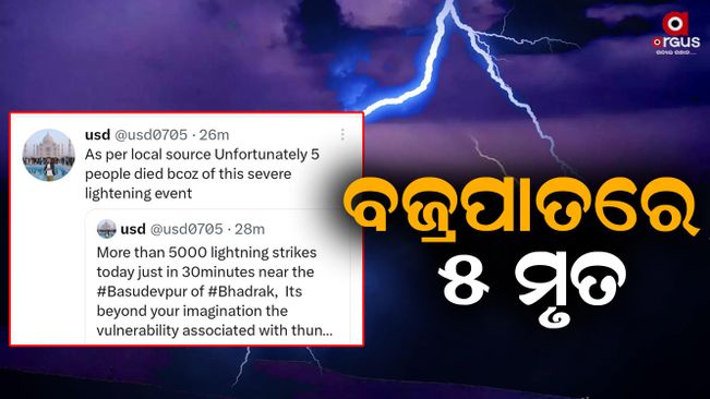 5000 times of lightning in 30 minutes in Basudebpur