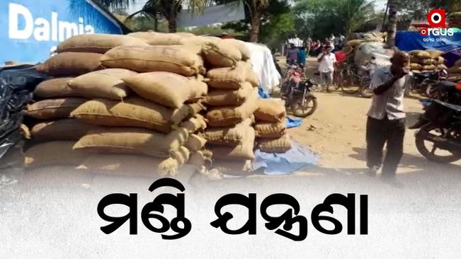 The target is not coming to the Dhana mandi, there is dissatisfaction among the farmers in Bhadrak