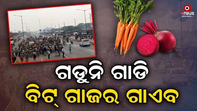 what-are-the-side-effect-of-driver-protest-in-odisha
