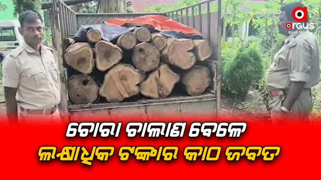 Lakh worth of timber seized during smuggling