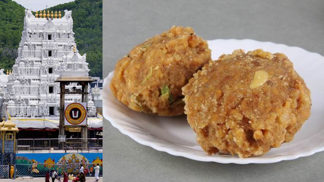 SIT Temporarily Halts Probe Into Tirupati Laddu ‘Adulteration’