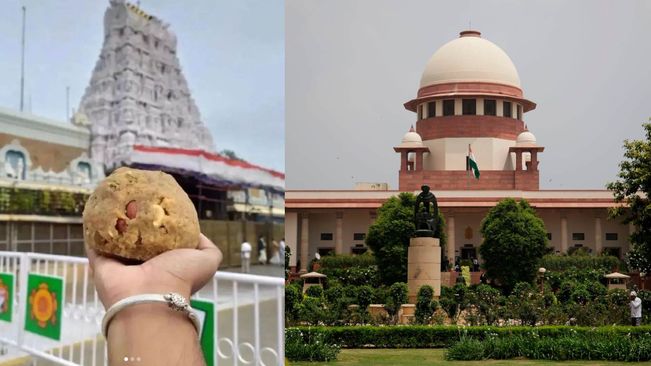 SC To Hear Pleas For Probe Into Contaminants In Tirupati Laddus Today 