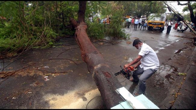 NH 59 closed due to fallen trees