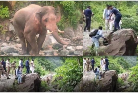 Former CM Trivendra Rawat climbs hill after elephant blocks convoy