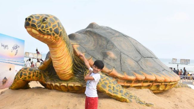 At Puri Beach, Huge Art Installation On Olive Ridley Turtles Calls For Its Conservation