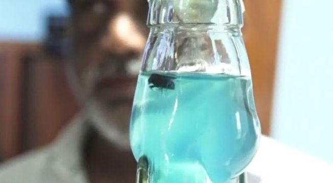 A fly found from soda bottle in cuttack
