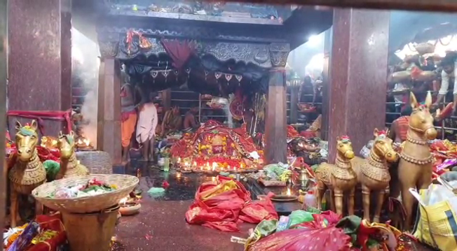 Maa Tarini  darshan by the devotee during Makar Sankranti