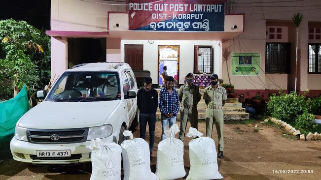 Ganja worth Rs 10 lakh seized from car in Koraput, 2 held