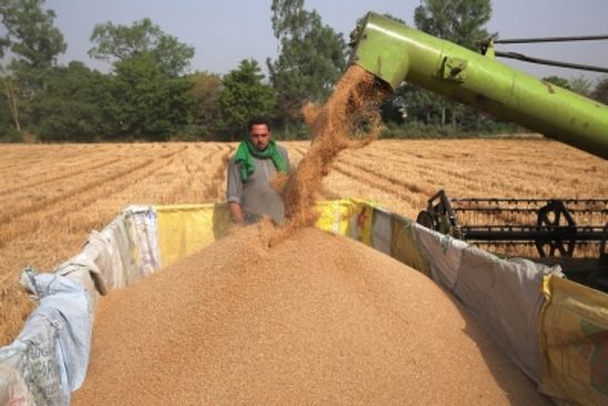 Central Government:  relaxes wheat ban order,; announced some relaxation to its recent order on restrictions of wheat exports | Argus News