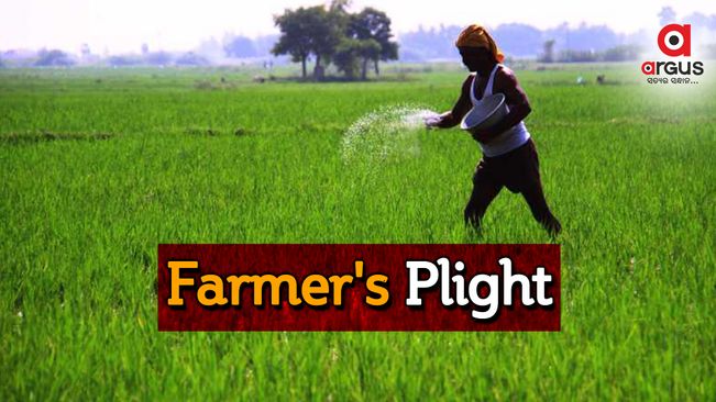 Balasore Sadar sharecroppers shatter tall claims of Odisha Govt