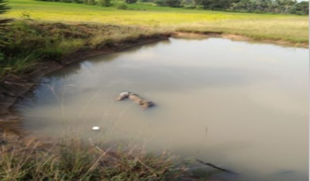 Youth’s body with throat slit found from pond in Malkangiri