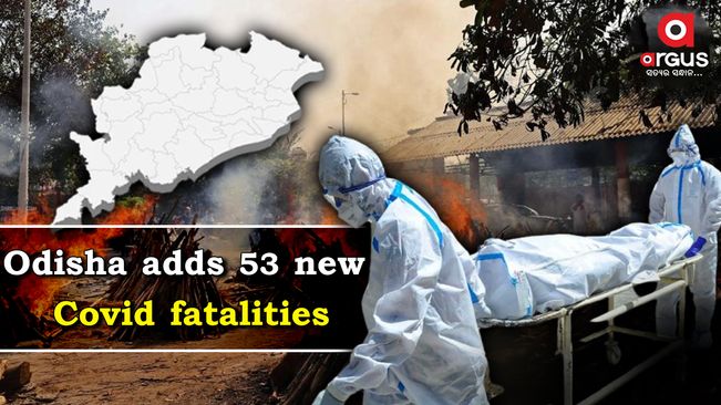 Odisha adds 53 more Covid fatalities; death toll mounts to 8,022