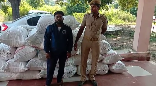 କାଲିମେଳା ଅଞ୍ଚଳରୁ ୭ କ୍ୱିଣ୍ଟାଲରୁ ଉର୍ଦ୍ଧ୍ୱ ଗଞ୍ଜେଇ ଜବତ