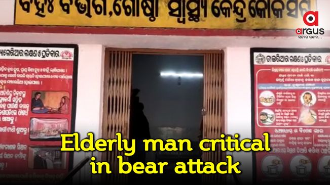 Elderly man critical in sloth bear attack in Kalahandi