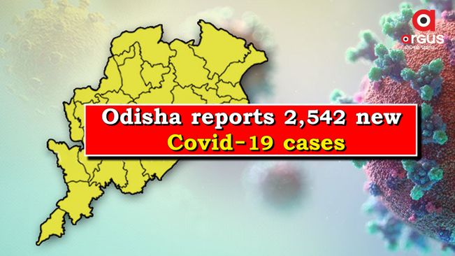 Odisha reports 2,542 new Covid-19 cases, Active cases stand at 27,580