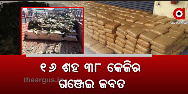 ଗଞ୍ଜେଇ ମାଫିଆଙ୍କ ନୂଆ ଟେକନିକ୍, କଦଳୀ କାନ୍ଦିରୁ ଅଢେଇ କୋଟି...
