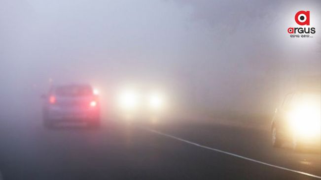 Dense fog warning issued for several Odisha districts during next 2 days