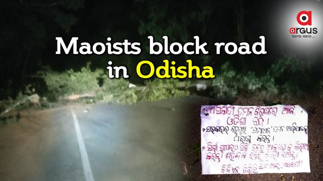 Maoists fell trees, block road in Odisha