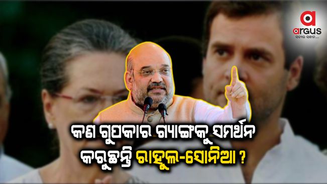 କାଶ୍ମୀରରେ ବିଦେଶୀ ହସ୍ତକ୍ଷେପ ଚାହୁଁଛନ୍ତି ଗୁପକାର ଗ୍ୟାଙ୍ଗ, କଣ ଏହା ରାହୁଲ-ସୋନିଆଙ୍କୁ ମଞ୍ଜୁର : ଶାହଙ୍କ ପ୍ରଶ୍ନ