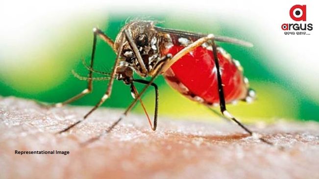 Bhubaneswar reports this year’s first dengue death