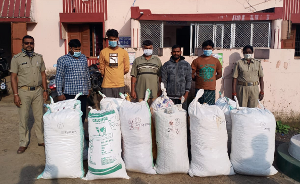 310 kg ganja seized, 5 peddlers held in Koraput